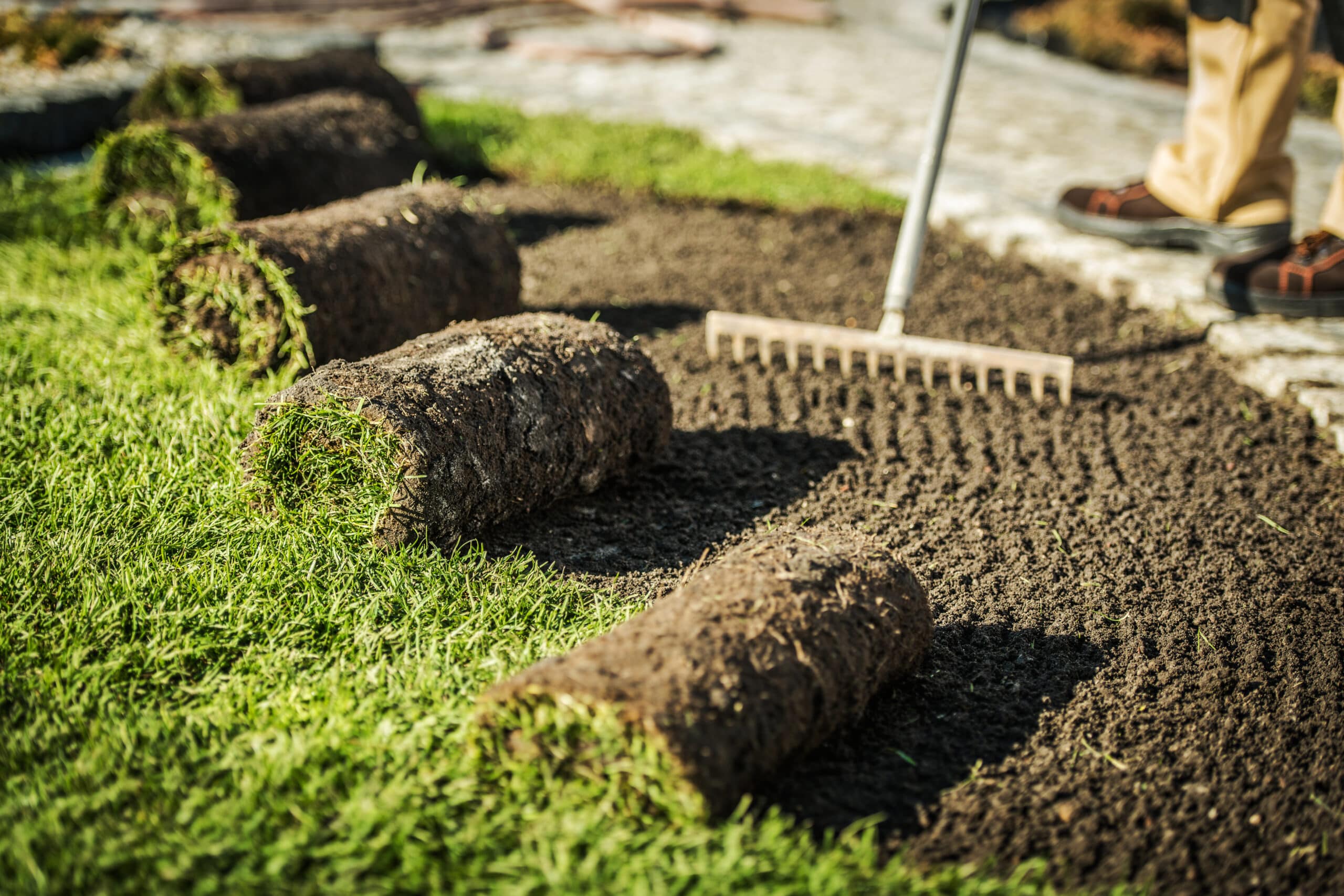 sod installation is easier for your Colleyville, TX, home 