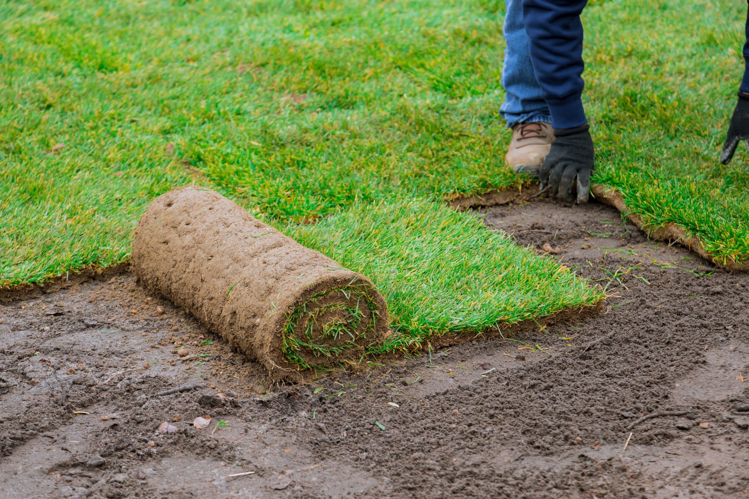 climate regulation with sod installation Southlake, TX