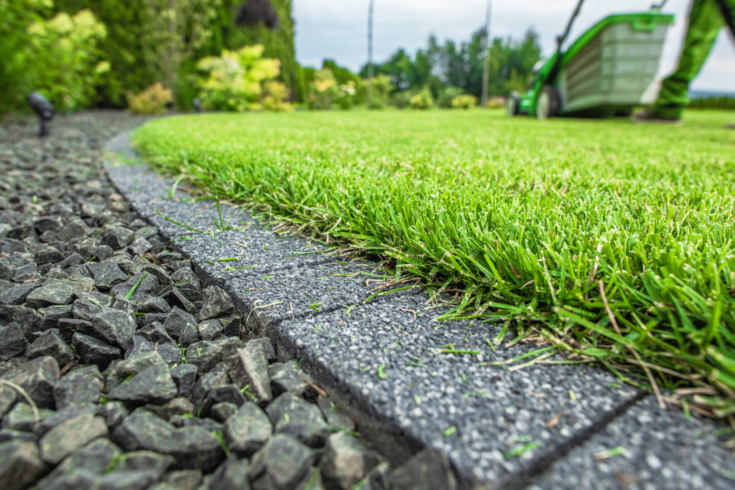 winter rye is drought resistant