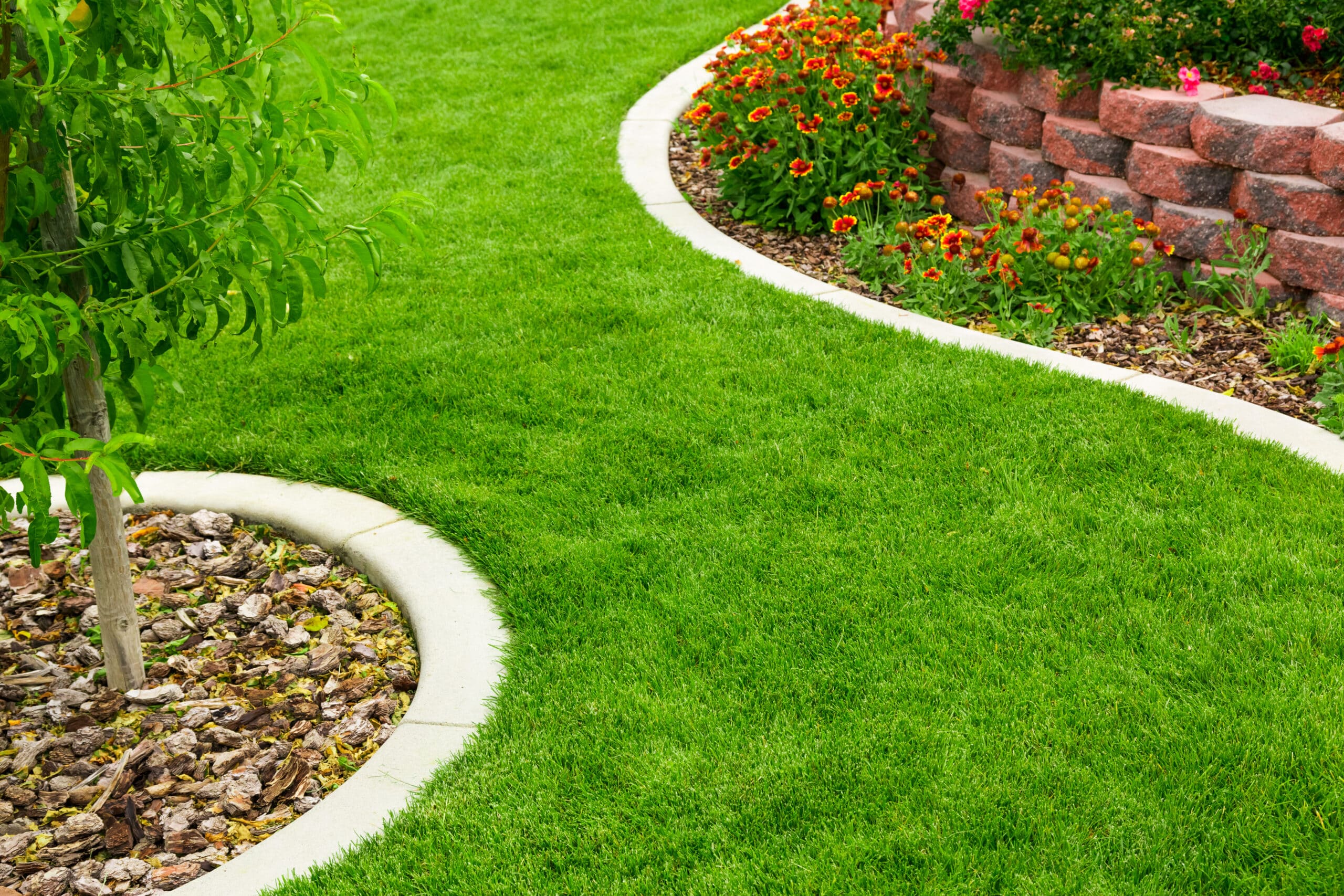 sod installation brings instant aesthetic appeal