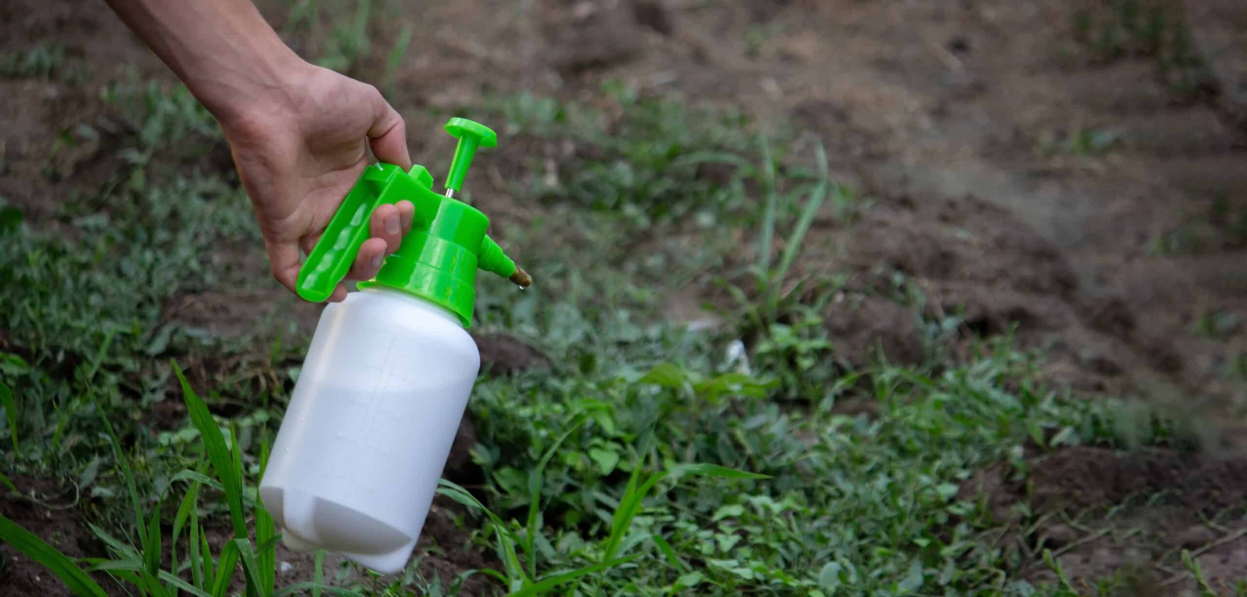 Our services 15 | farmer sprays weeds in the garden selective focus 2023 01 26 16 03 29 utc scaled