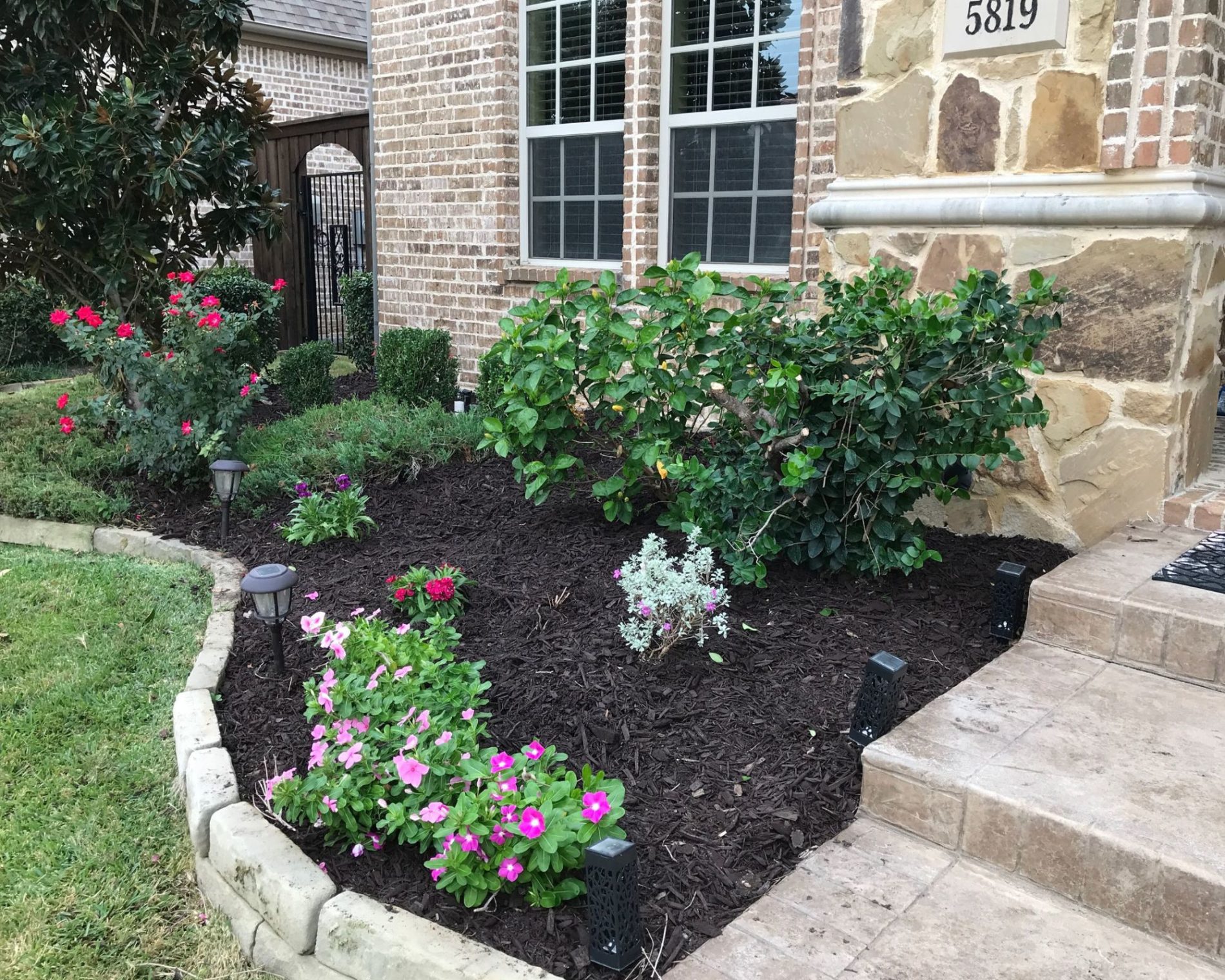 flower bed cleanup in Colleyville, TX