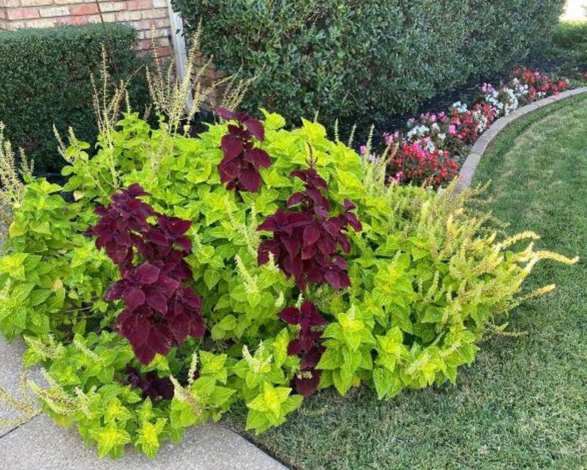 expect expert flowerbed cleanup services in Southlake, TX