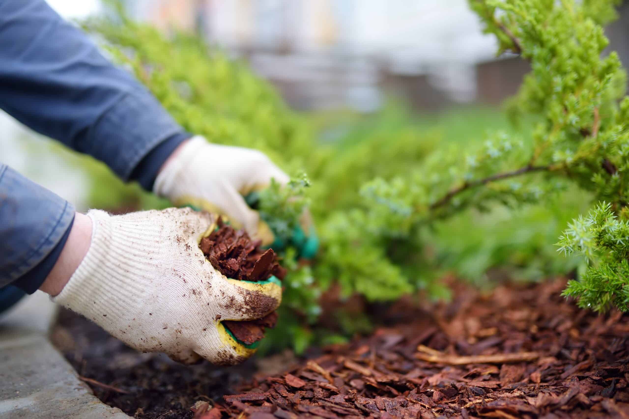 reduce weeds with our mulch installation services