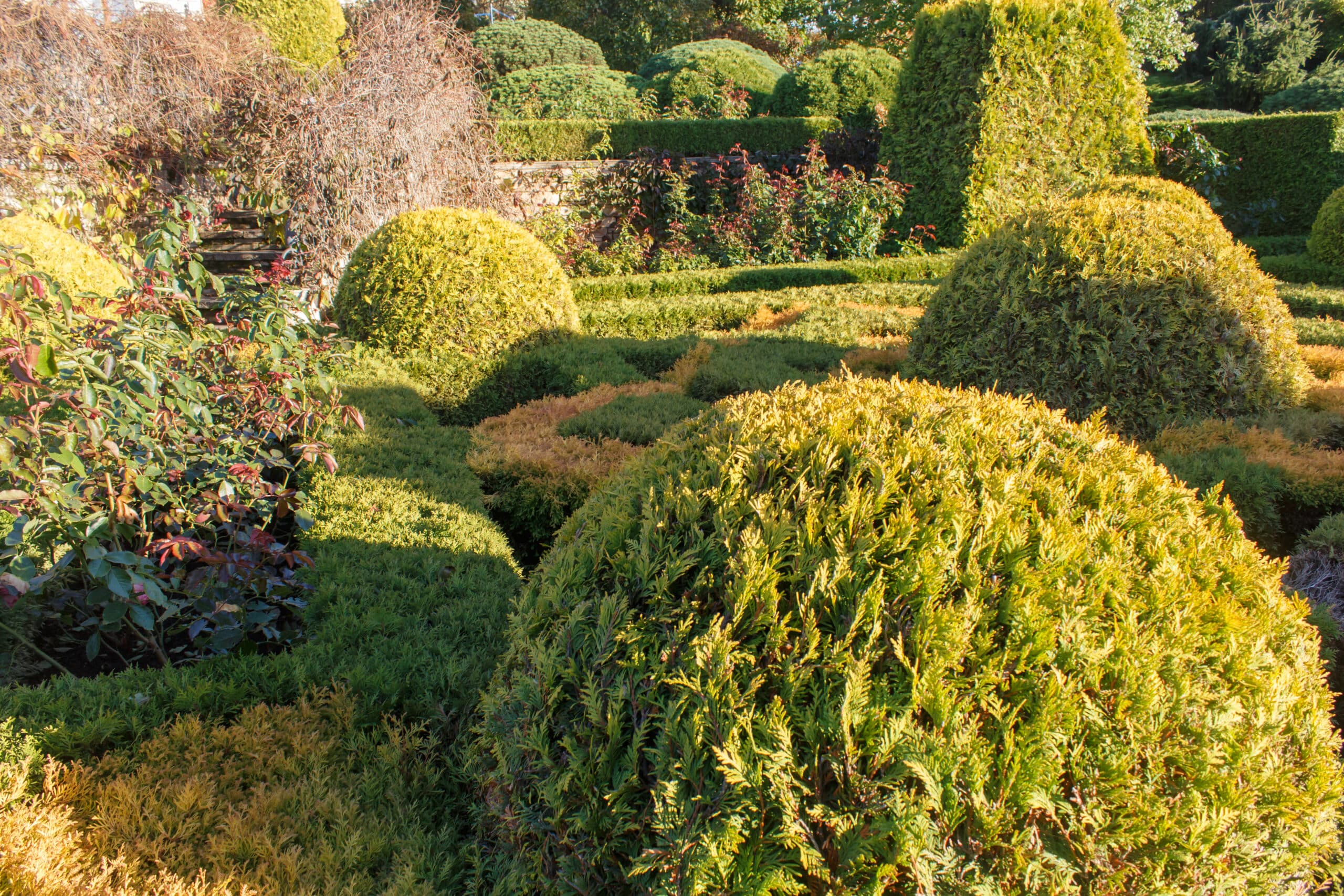 proper shrub and hedge trimming adds aesthetic appeal