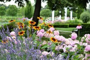 summer-flower-garden-2022-11-16-06-10-07-utc have healthier plants with a residential irrigation system