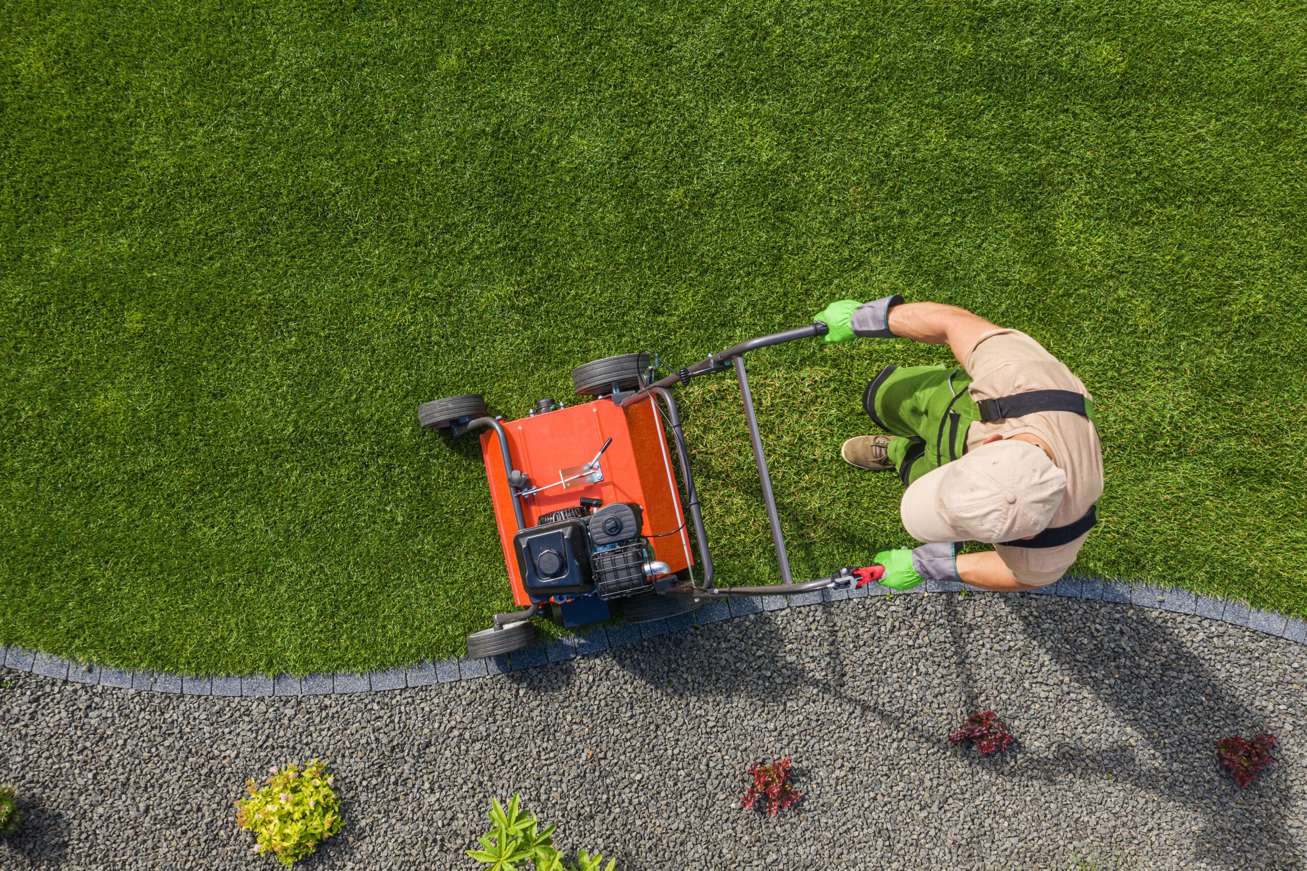 5 Things to Look for in a Landscape Services Company 7 | backyard garden lawn aeration job aerial view 2022 12 16 11 43 33 utc scaled