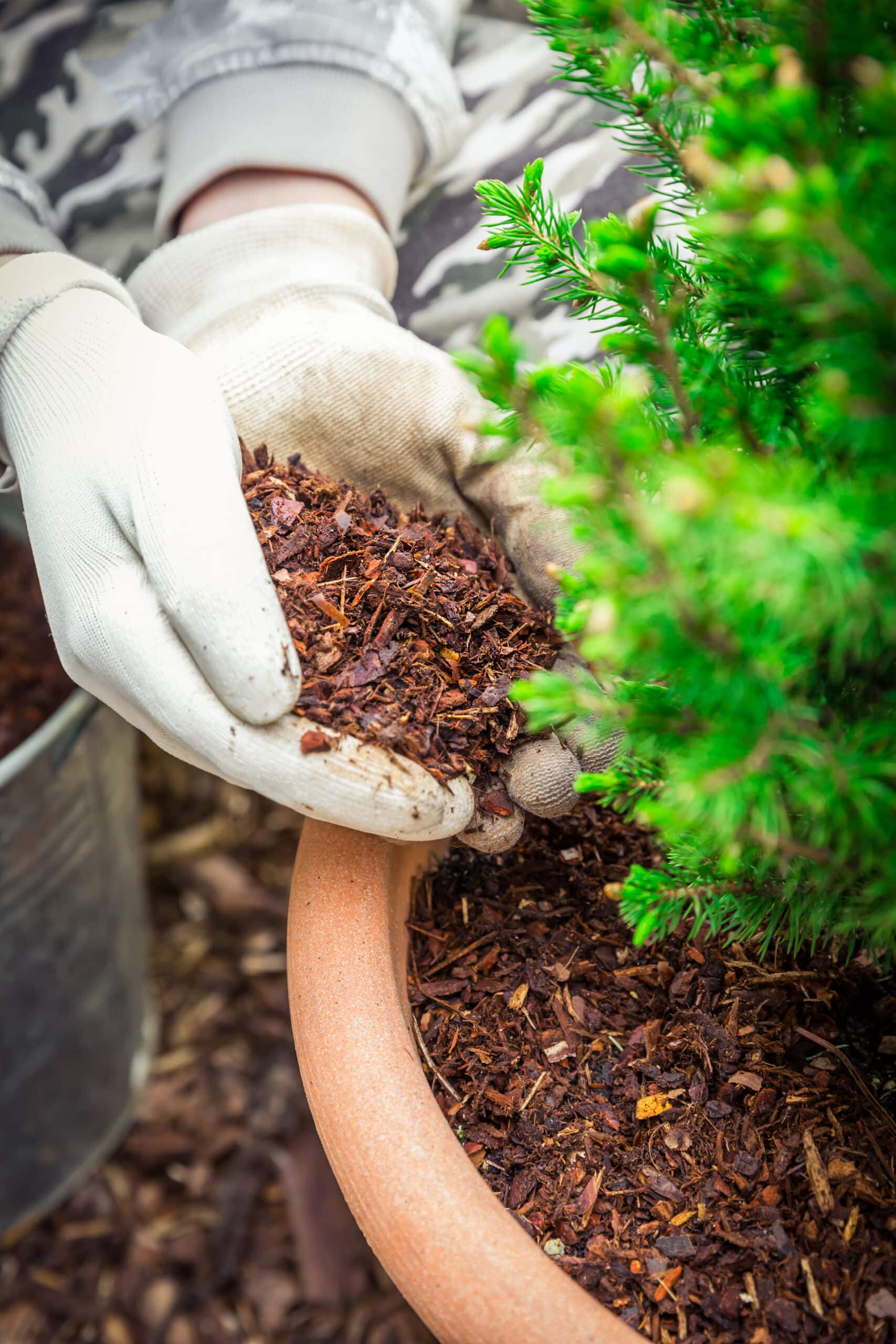 timing is crucial when it comes to weed control