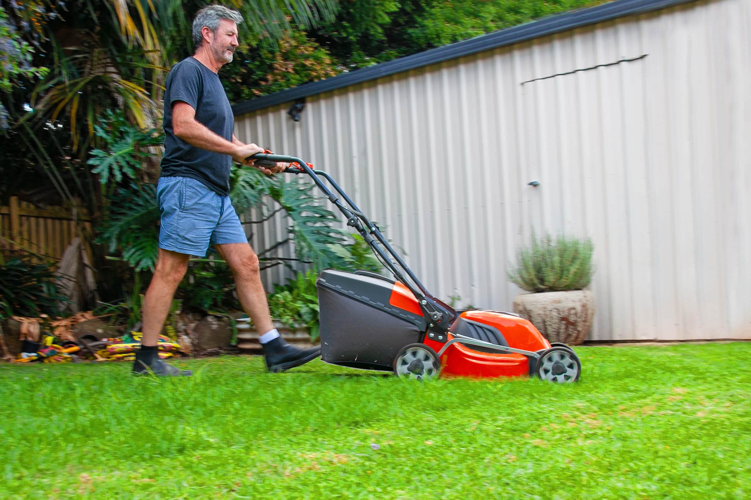 improve your lawns fertility, with correct lawn fertilizer 