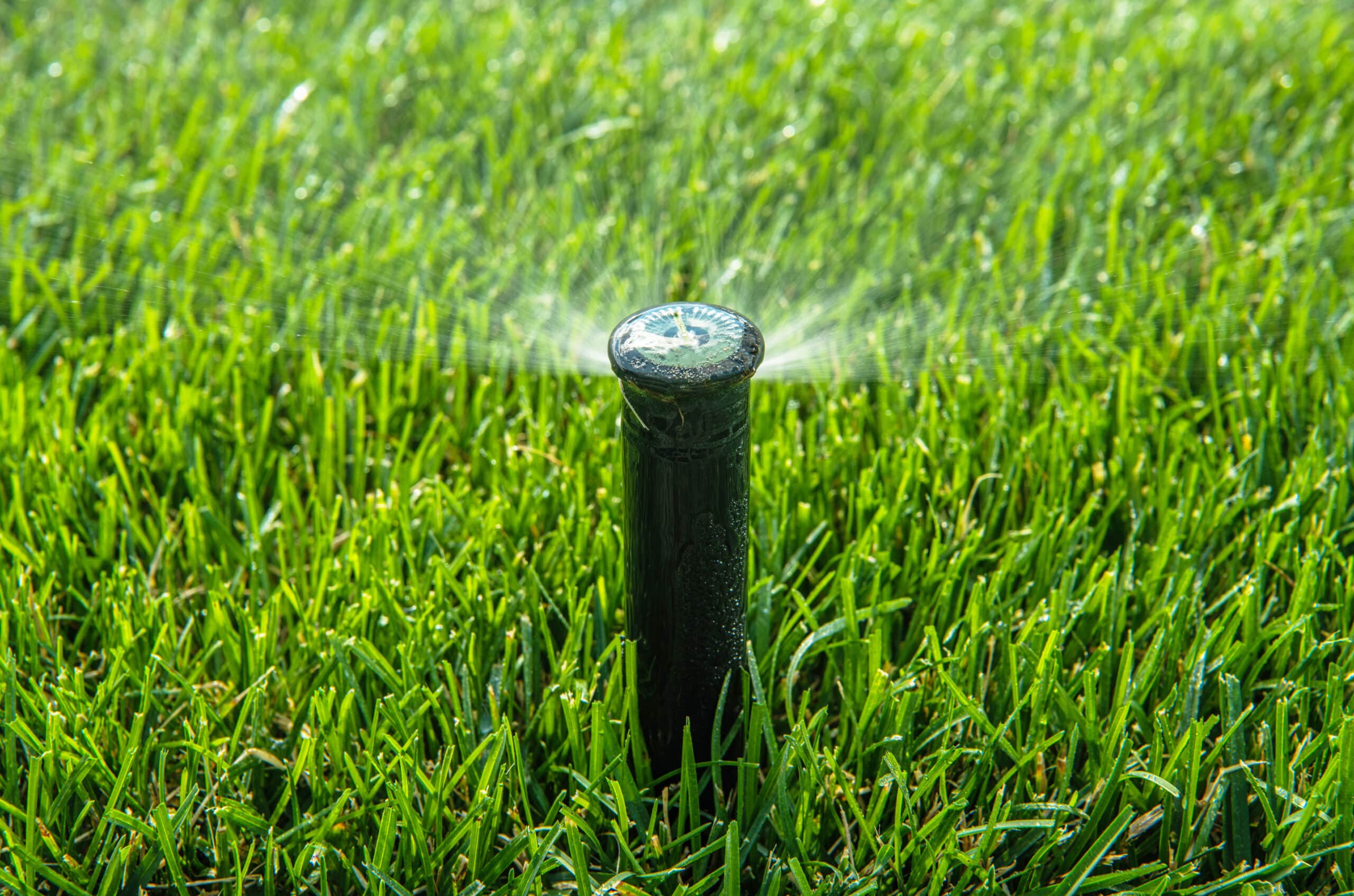 Irrigation Installation 9 | automatic pop up lawn sprinkler close up 2022 10 24 18 26 36 utc scaled