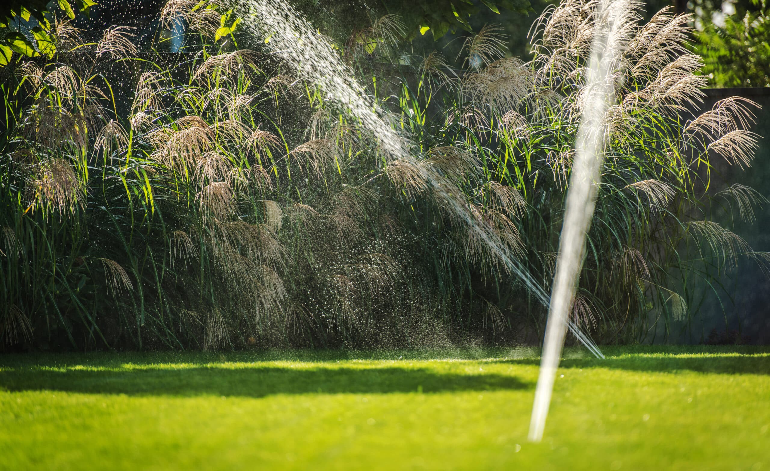 6 Exceptional Benefits Of Having A Residential Irrigation System 5 | residential backyard garden sprinklers irrigation 2022 12 16 11 50 48 utc scaled