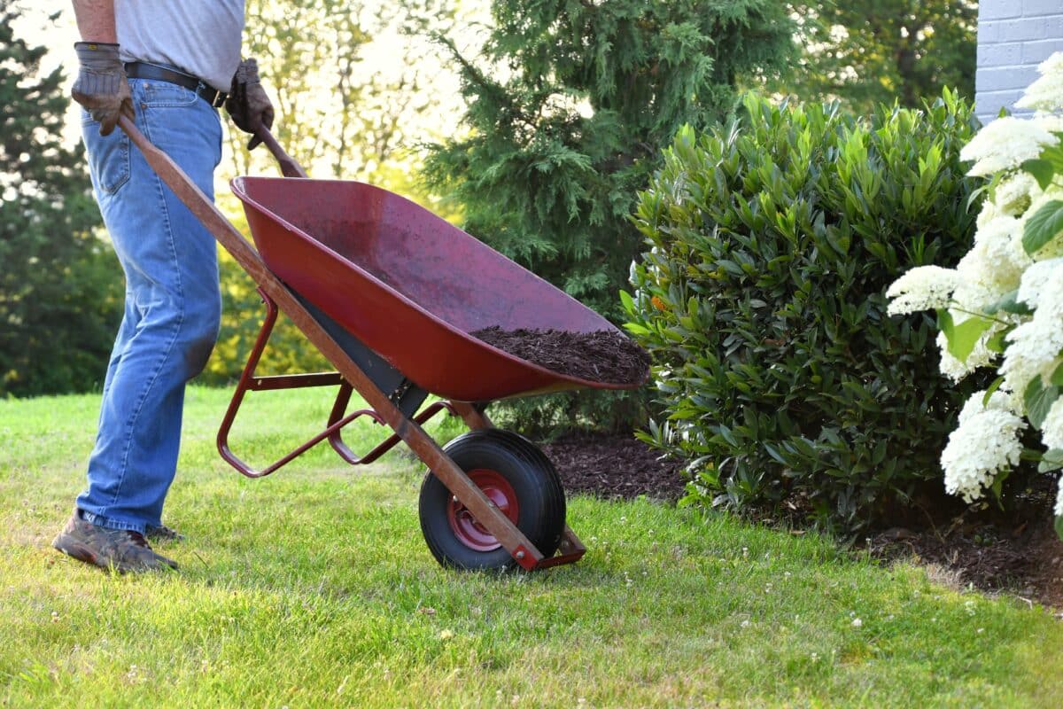 Mulch Installation 6 | man doing yard work spreading mulch around landsc 2022 11 14 04 10 13 utc 1200x800 1